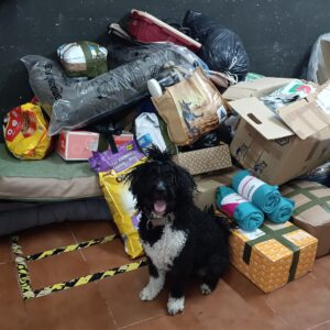 Vorschaubild: Tierheim Malaga sagt Danke für eure Spenden